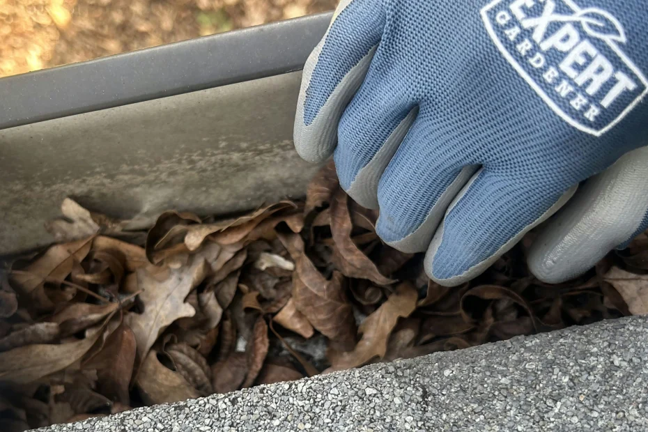 Gutter Cleaning Tarrant