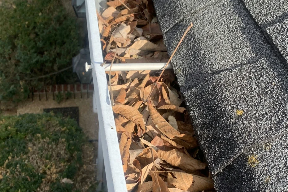 Gutter Cleaning Tarrant